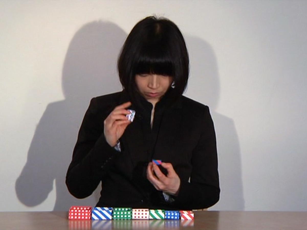 Yoshie Shibahara, Question Gadget 質問装置, 2013